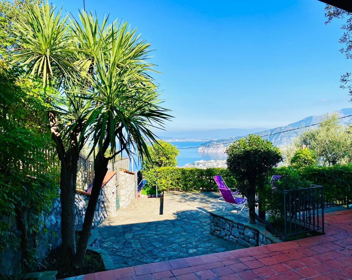 Villa Seaview Sorrento Dış mekan fotoğraf
